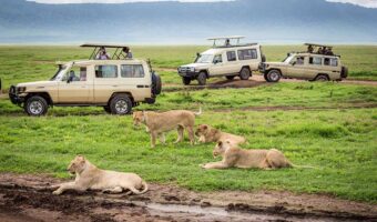 Ngorongoro 4a Comfort Safari & Beach