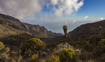 kili12f Kilimanjaro Trekking Lemosho Route