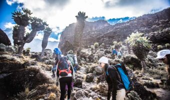 kilimanjaro_1 kilimanjaro_1