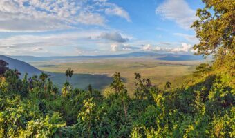 ngorongoro 1 Incredible Luxury Safari, Drive & Fly Out Comfort Safari, Western Serengeti Wildebeests Migration, Authentic Cultural Experience