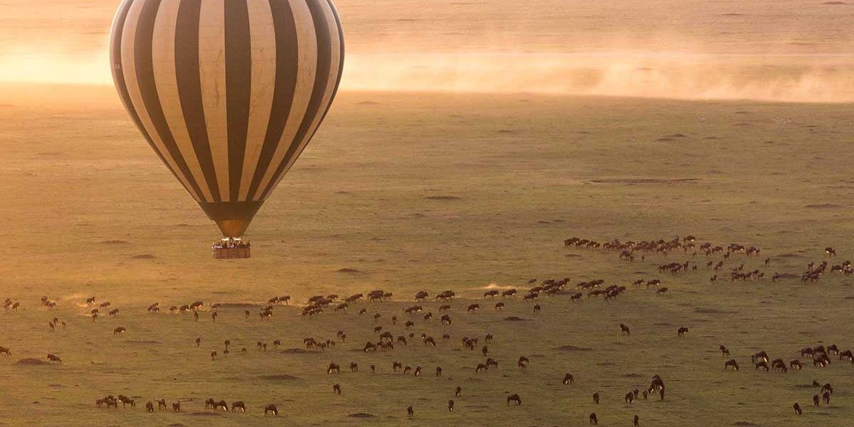 balloon safari