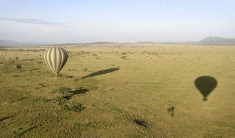 balloon2 balloon safari