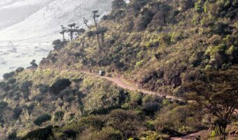 Comfort Ndutu Migration Safari, Tanzania Luxury Safari, Western Serengeti Wildebeests Migration, Northern Circuit Safari, Authentic Cultural Experience, Ngorongoro Crater Day Trip