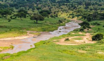 High End Western Corridor Safari, Tarangire National Park Walking Safari