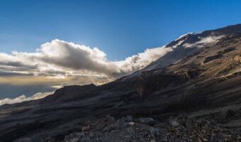 kilimanjaro 7 kilimanjaro 7
