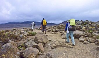 8 Days/ 7 Nights Kilimanjaro Trekking Rongai Route