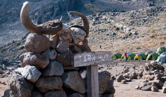 8 Days/ 7 Nights Kilimanjaro Trekking Rongai Route