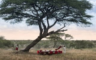 Bush-lunch-andBeyond-Serengeti-Under-Canvas