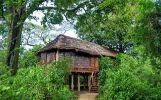 Family-treehouse-suite-exterior-andBeyond-Lake-Manyara-Tree-Lodge