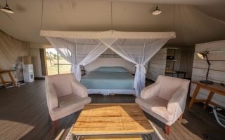 Mara Mara Tented Lodge (7)