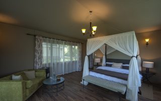 Ngorongoro Lions Paw (6)