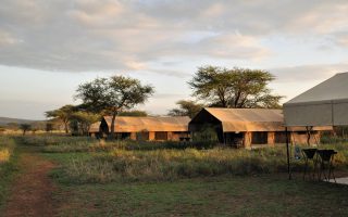Serengeti Kati Kati Tented Camp 1