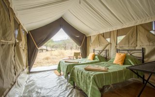 Serengeti Kati Kati Tented Camp 2
