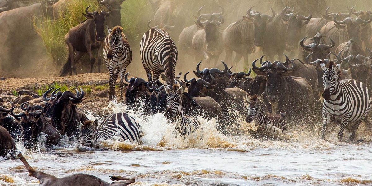high tourism season, North Serengeti Wildebeest Migration