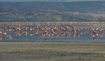 lake-natron-10[2]