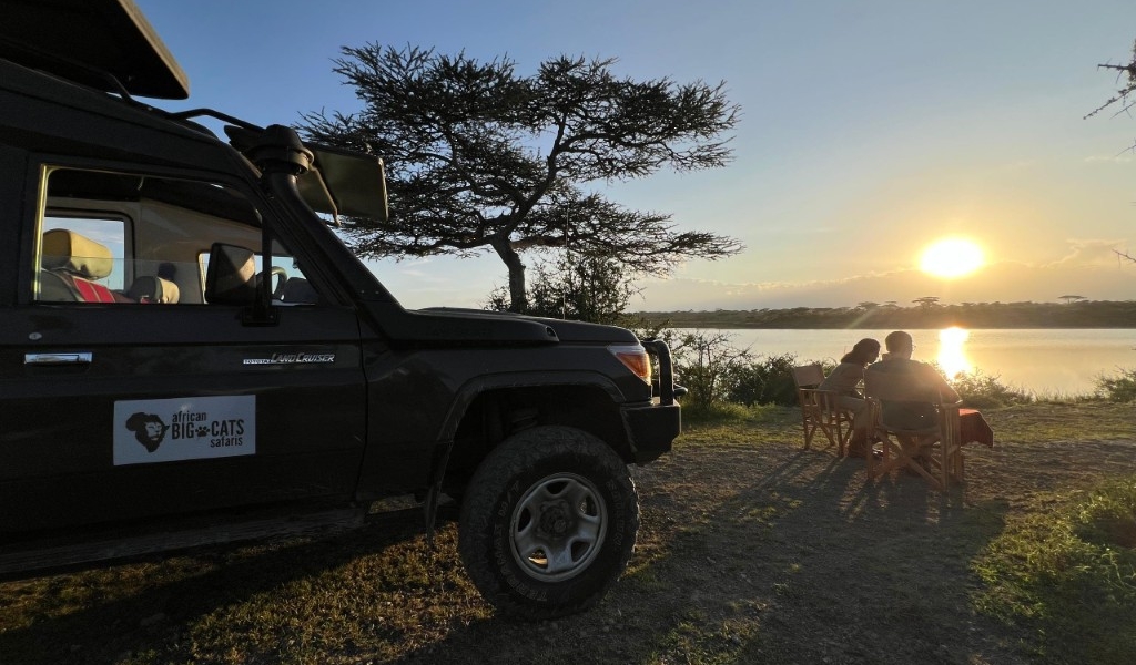 Welcoming the New Year