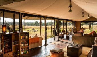 High End North Migration Safari