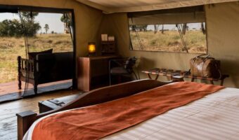 High End North Migration Safari