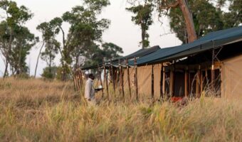 Lemala-Mara-Ndutu-10-scaled Lemala-Mara-Ndutu-10-scaled