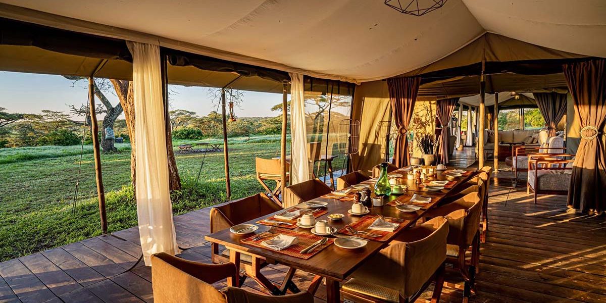 Cost of a Tanzania Safari,Is Luxury Safari wort it