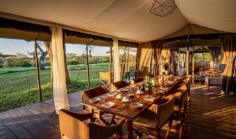 Lemala-Mara-Ndutu-20-scaled Cost of a Tanzania Safari,Is Luxury Safari wort it