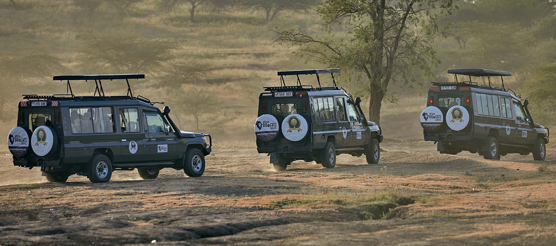 Christmas in Tanzania