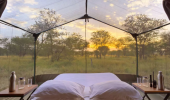 High End Ndutu Migration Safari