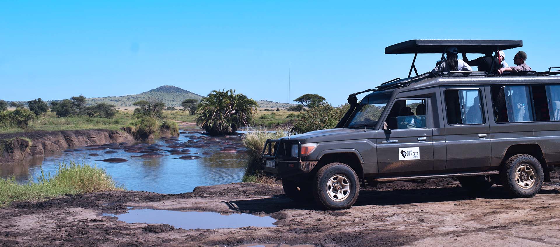 Welcoming the New Year