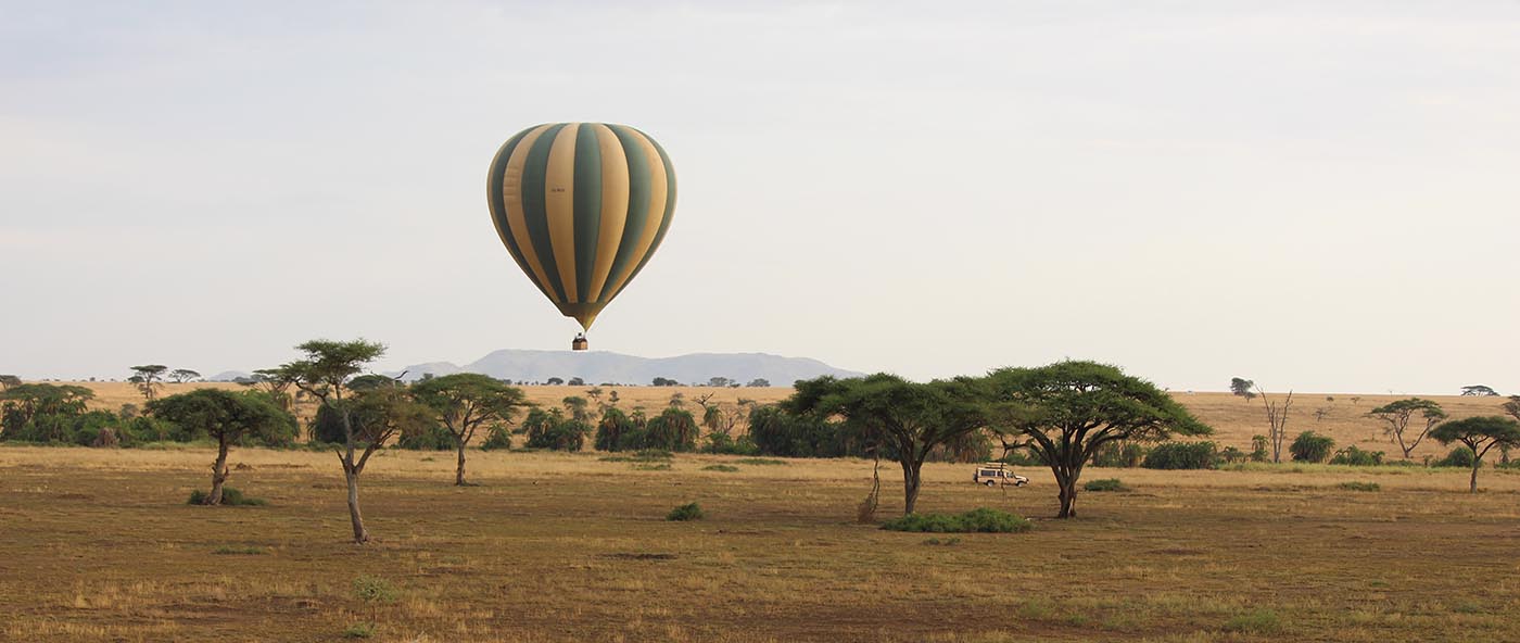 Luxury Family Safari