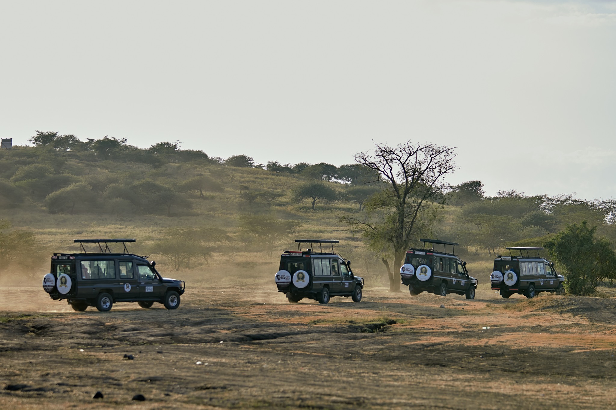 First-Time Safari Travelers
