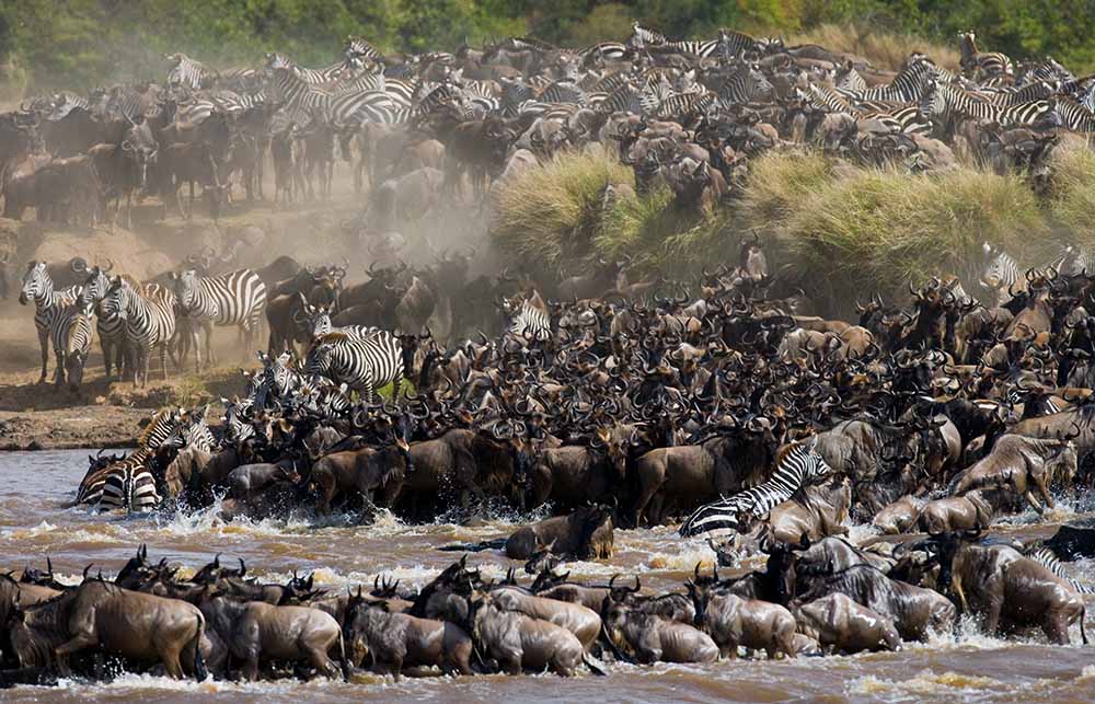 Visit Tanzania