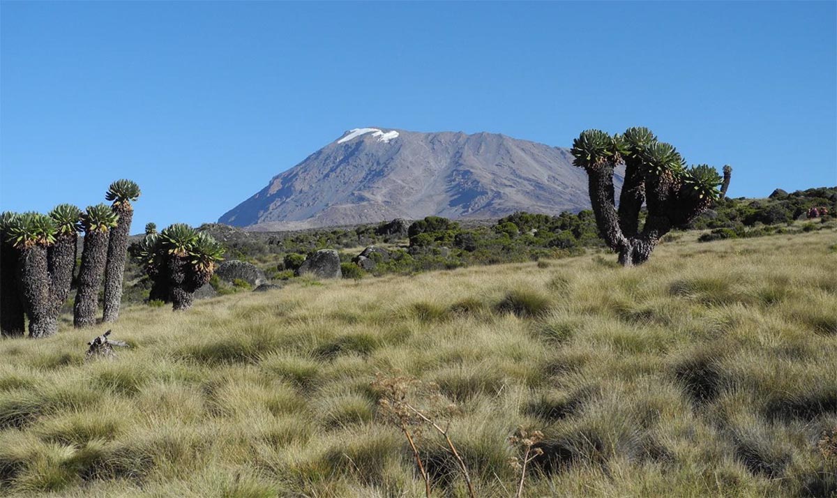 Luxury While Climbing Kilimanjaro