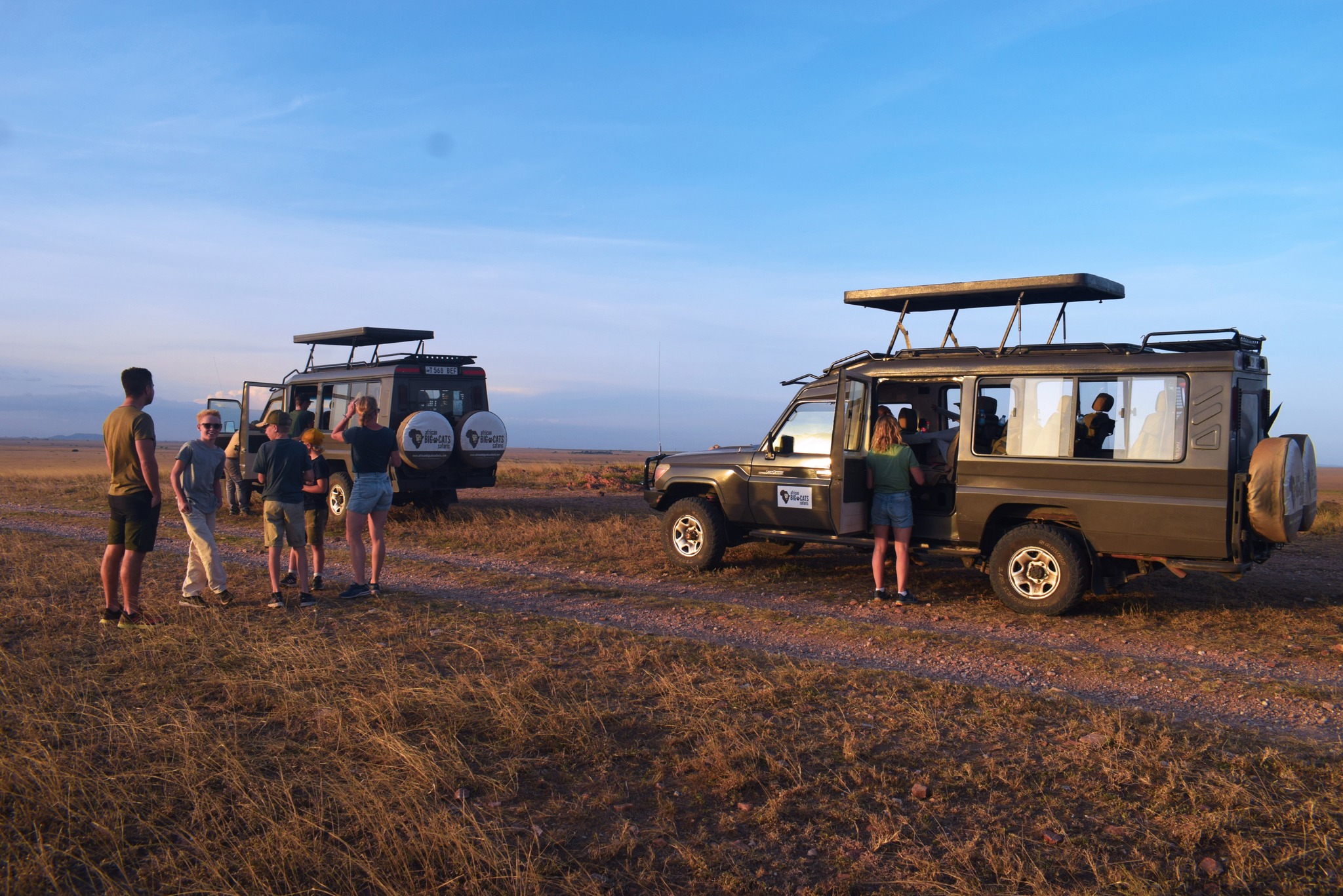 safari vehicles 2 safari vehicles