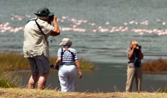 Birdwatching in Tanzania, Bird Watching Safari