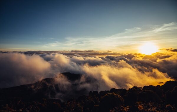 Sunrise Over Kilimanjaro Sunrise Over Kilimanjaro, Mount Kilimanjaro Faq's
