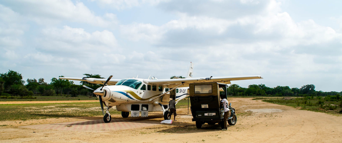 High-End Fly Migration Safaris