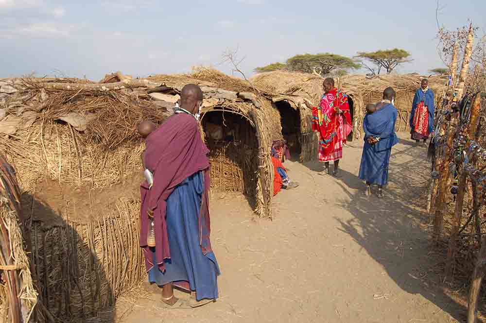 masai 5 Maasai in Tanzania