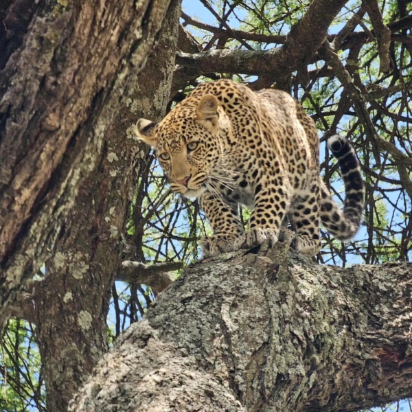 558878352_10239397316379734_2164174516485429555_n