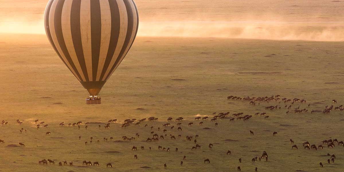 Hot Air Balloon