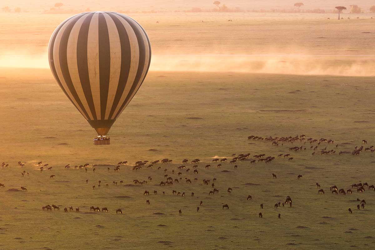 Hot Air Balloon