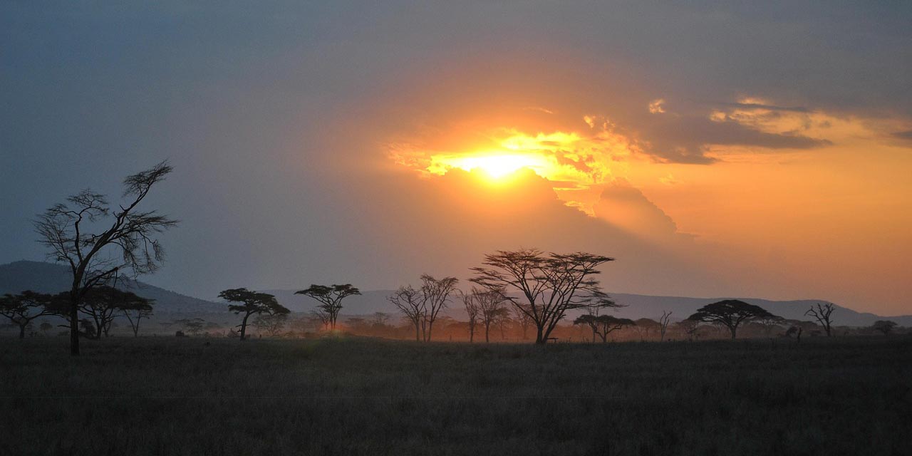 Serengeti at Dawn