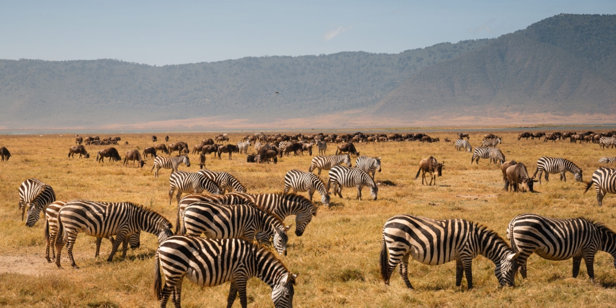 Ngorongoro crater facts