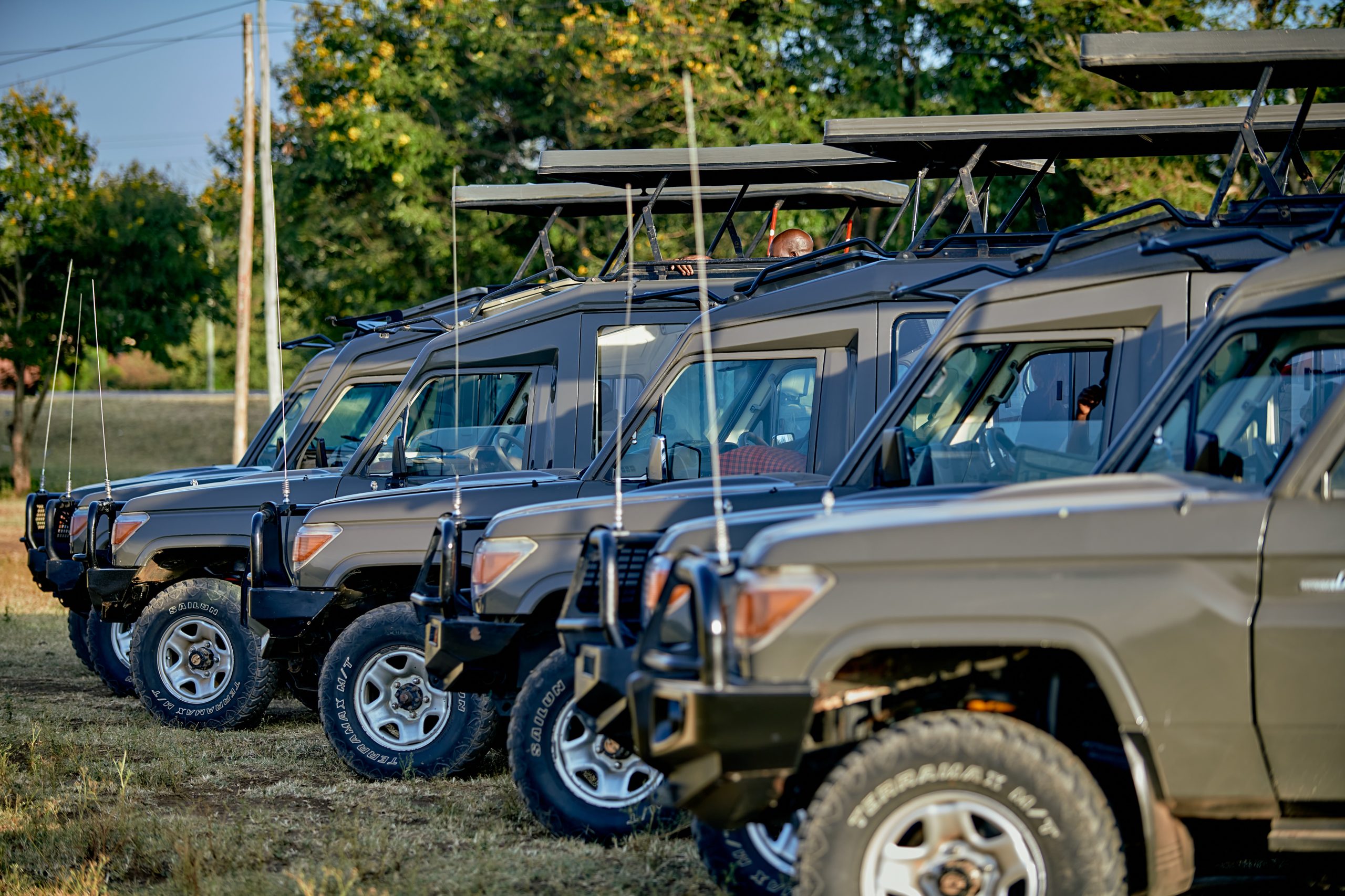 NGN_8596-scaled.jpg Safari Behind the Scenes