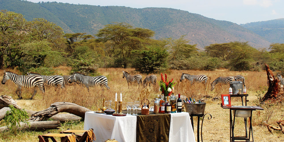 High-End African Safari, Why Tanzania Safaris,Quiet Side of Luxury Safari,Wi-Fi on Safari,Under the Trees