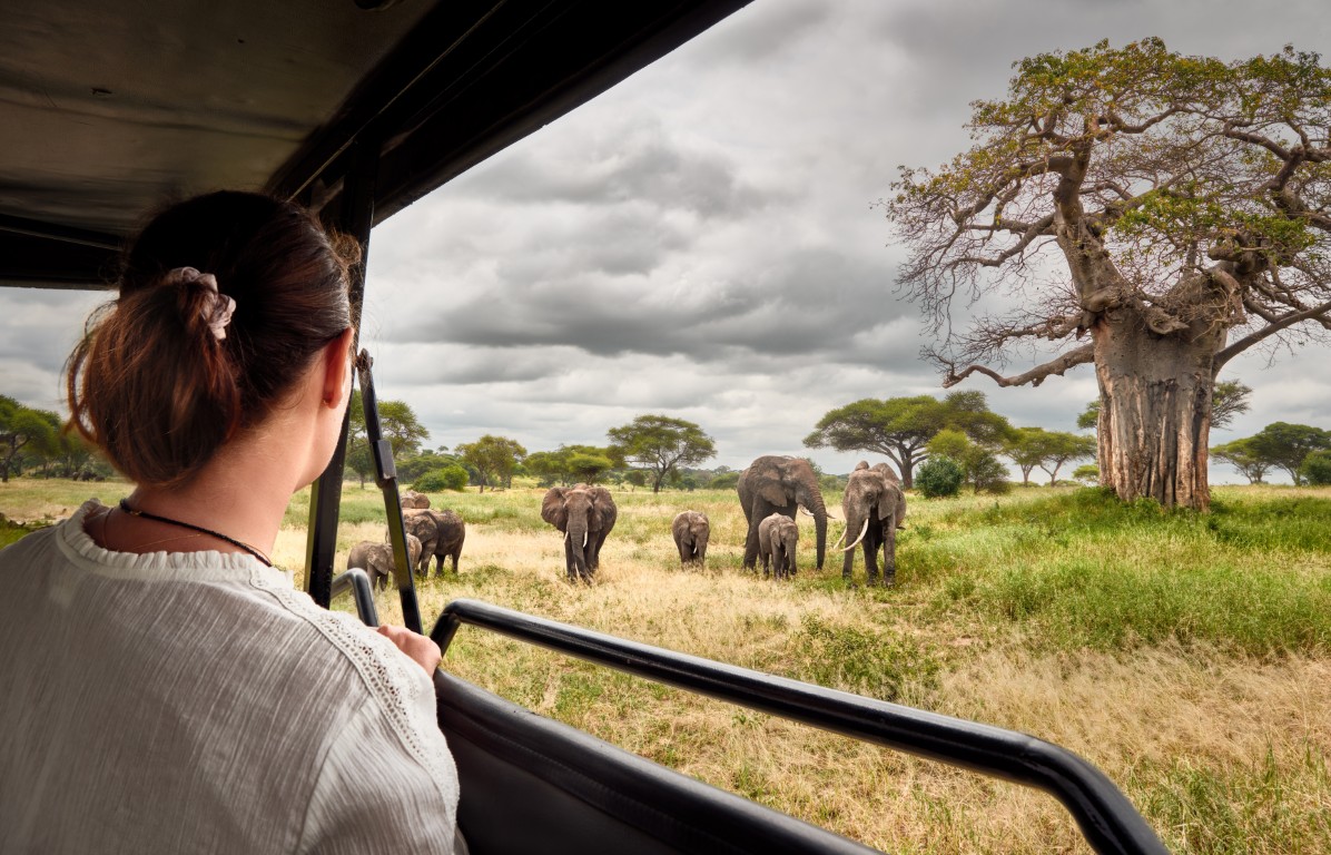 Essential Safari Vaccinations