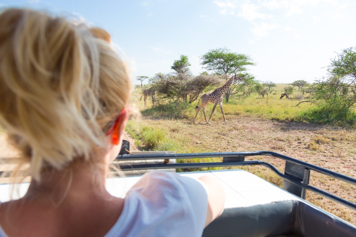 Best Time for African Safari