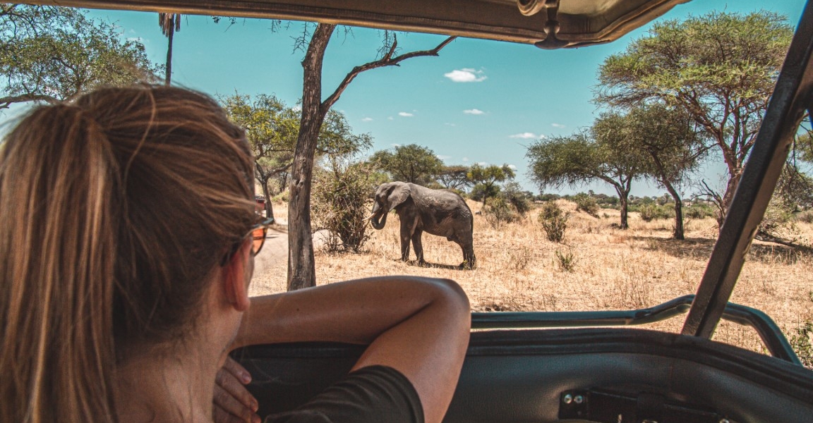 Safari Wellness Travel