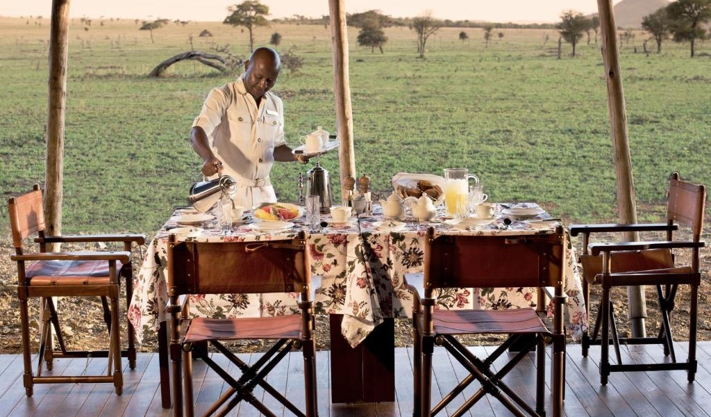 safari meals