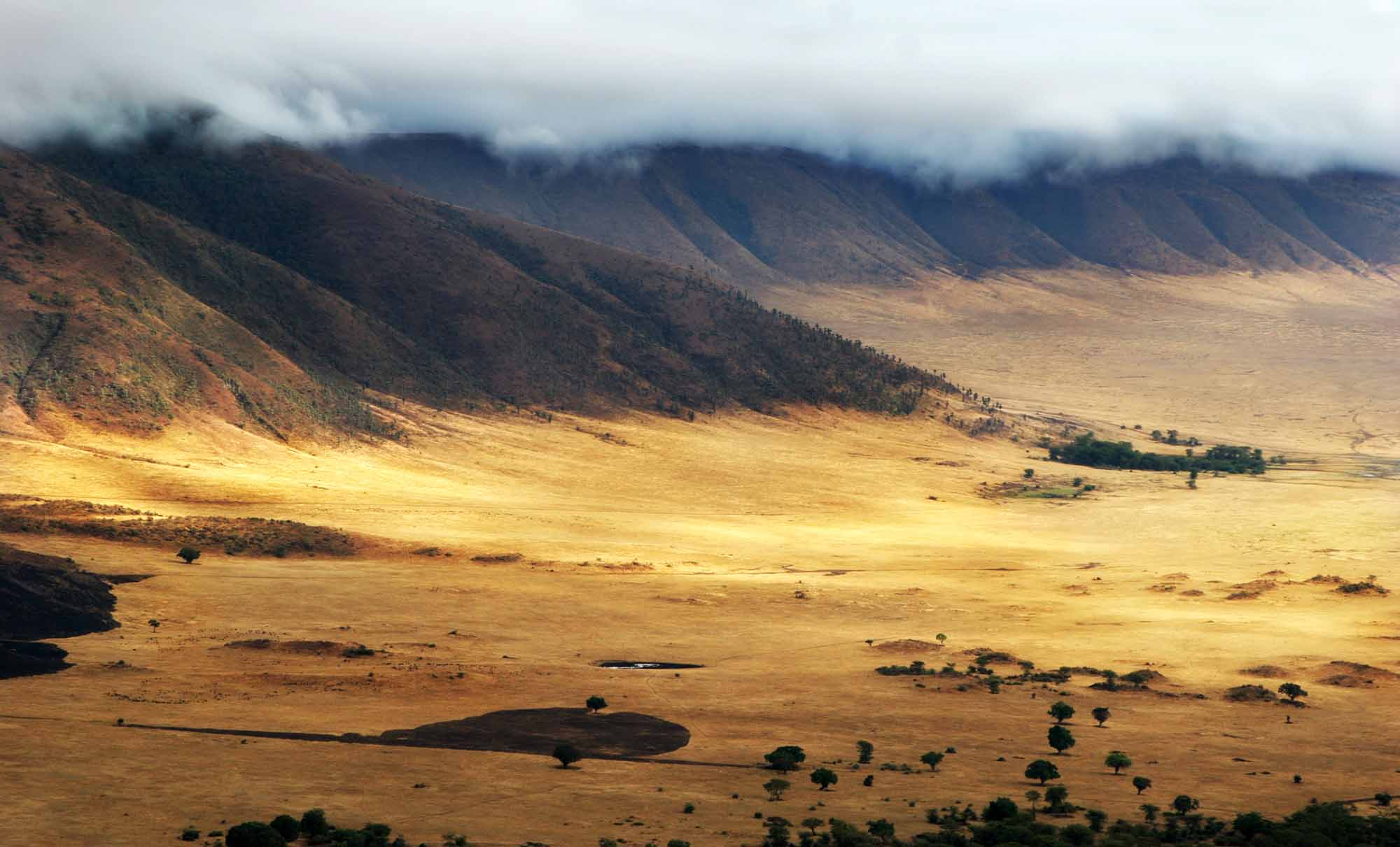 Serengeti & Ngorongoro Formation