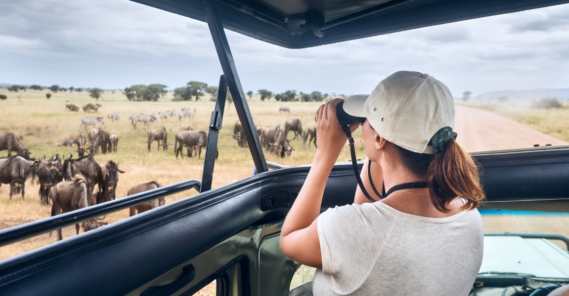 Safari Experience Transformation